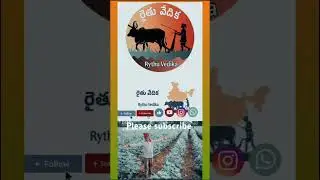 please subscribe my channel #rythubarosa #rythubharosakendralu #farming #agriculturefield