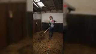 Strohpellets Anwendung - Einstreu