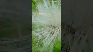 Marvels of mother Nature.... 😀