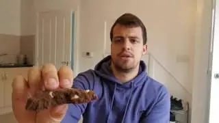 Sci-Mx Nutrition Pro2Go Cookie Review