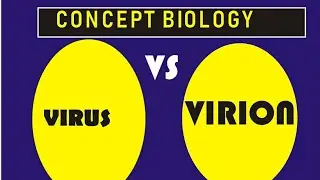 VIRUS VS VIRIONS -CLEAR DIFFERENCE BETWEEN VIRUS AND VIRIONS -BIOLOGY.Fayaz khatti-NMDCAT2022-NEET