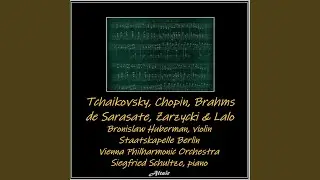 Violin Concerto in D Major, Op. 35: I. Allegro Moderato&mdash;moderato Assai