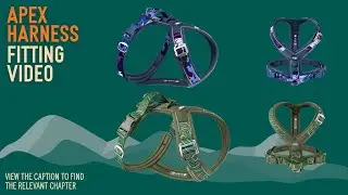 TWIGGY TAGS - FITTING THE APEX HARNESS