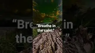 Nature lover 🌿Capturing the beauty of natureSubscribe for peaceful nature videos