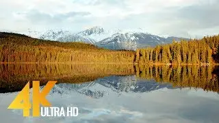 Winter Beauty of Canadian Nature in 4K UHD - Short Preview