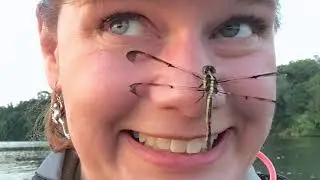 The Women of Georgia Wildlife: Linda May