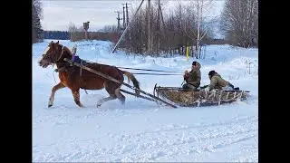 17.12.24 г. 