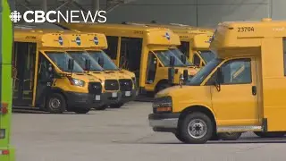 TransLink to improve HandyDART services but keep operation outsourced