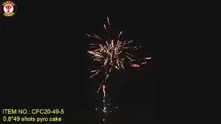CFC20-49-5  0 8''49 shots pyro cake
