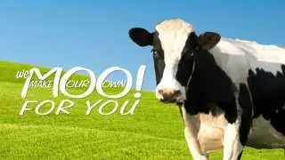 We MOO For You | Stewart's Shops