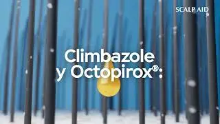 Shampoo anticaspa con Seda, Amino&aacute;cidos, Extracto de Hoja de Pachuli y Arg&aacute;n de Terramar USA