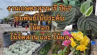 ชมพันธุ์ไม้. #งานเกษตรสุรนารี ปี67 #ไม้ผล #ไม้ประดับ #ไม้มงคล #ไม้ดอก  ยิ่งใหญ่และสวยมาก