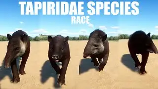 Виды Tapiridae Животные Расы в Planet Zoo включают южноамериканского тапира, тапира Бэрда