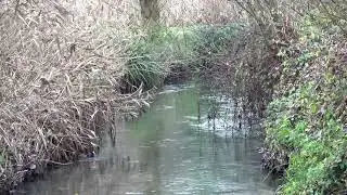 La nature au gr&eacute; des balades 2025 - 16