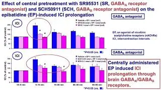 #22886 Brain GABAA and GABAB receptors are involved in brain &alpha;7 nicotinic acetylcholine receptor...