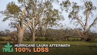 Pecan Crop is a Total Loss