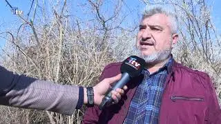 Altunköprü'deki ağaç kesimleri ve yangınlar halkın tepkisine yol açıyor