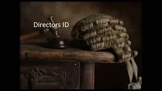Director ID Compliance Made Simple