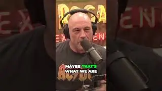 Joe Rogan: Are Grey Aliens Future Humans? The MindBlowing Theory Unveiled