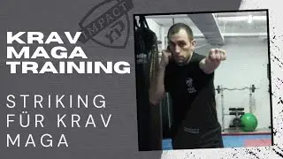 60 Minuten Krav Maga Online Training - Striking f&uuml;r Krav Maga, Striking f&uuml;r Selbstverteidigung
