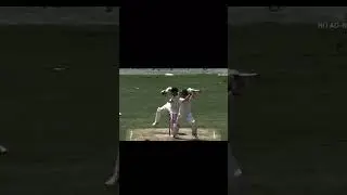 Steve Smith Test Batting #stevesmith #cricket #cricketlover #test  #australia #smith #testcricket