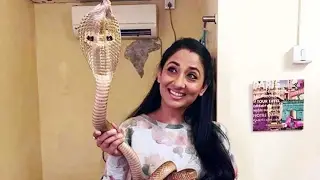 Television And Nagarjun Fame Actress Shruti Ulfat Arrested For Posing With Protected Cobra