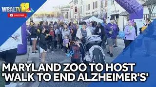 Maryland Zoo hosts '2025 Walk to End Alzheimer's'