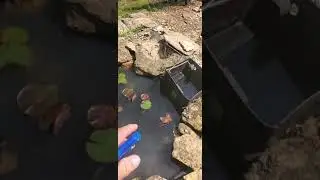 Part 2. Finding and repairing a pond leak