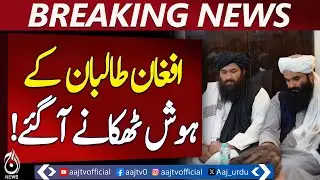 Afghanistan Taliban statement | Sirajuddin Haqqani | Peace and dialogue