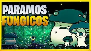 Gu&iacute;a definitiva, COMPLETA de paramos f&uacute;ngicos HOLLOW KNIGHT