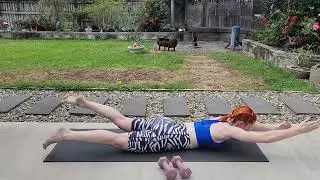 Swimmers | Superman Variation | Back Exercise | Core Exercise