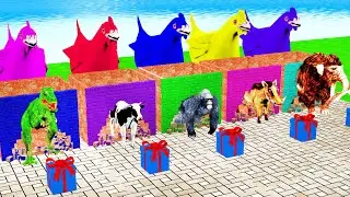 Choose The Right Gift Box Run And Win With Cow, Elephant, Gorilla, Dinosaur, Mammoth, Wild boar,Wild
