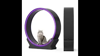 Cat Exercise Wheel Treadmill  