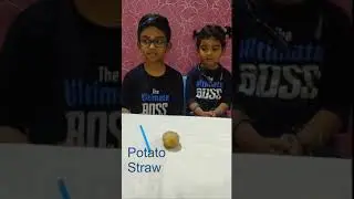 Potato and straw experment with Vishwa and Pragathi  #shorts #kidsexperiment #potatostraw