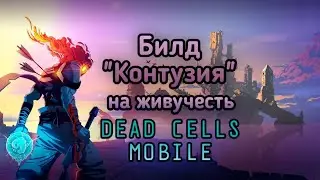 ⚔️Билд 