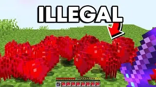 Why I'm Duping Infinite Hearts On This Lifesteal SMP...