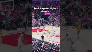 Reed Sheppard high off the glass #nba #basketball #houston #houstonrockets #reedsheppard