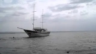 Athos Sea Cruises - Agios Georgios boat launch