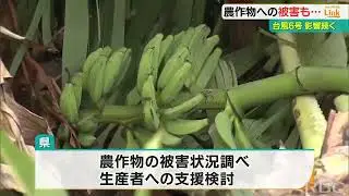 台風6号各地に爪痕　断水、停電、混乱する空港に農作物への被害も　多岐に渡り広がる被害