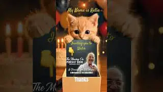 IS KATIE INVITING PET LOVERS TO WATCH MY CHANNEL 😻🐈 will you?