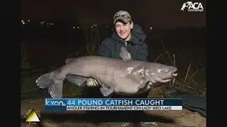 Angler snags 44-pound catfish in Lady Bird Lake