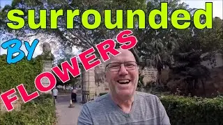 Most beautiful garden in Malta, San Anton Gardens
