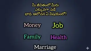 మీ జీవితంలో మీరు ఎంచుకునేది ఏది? 🤔 | Money vs Job vs Family vs Health vs Marriage | Telugu Live