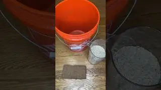 Грибной субстрат из кокосовой койры своими руками #шорты #магия #грибы #youtubeшорты #вырастисвои...