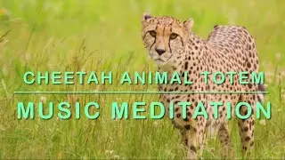🐆 Cheetah Animal Totem Music Meditation | Speed, Focus, Manifestation & Dream Power