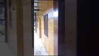 mangocity video