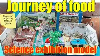 journey of food from field to home #scienceexhibitionmodel #sciencefairideas #schoolproject  #tlm