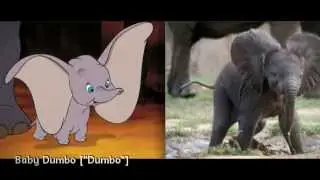 Picovico Slideshow Maker | Cute Disney Animals in Real Life!