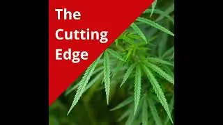 Episode #1: Industrial Hemp