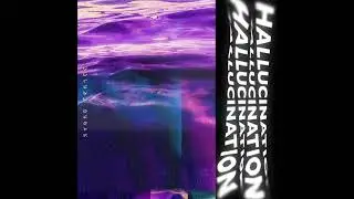 Hallucination - Fatima Revne